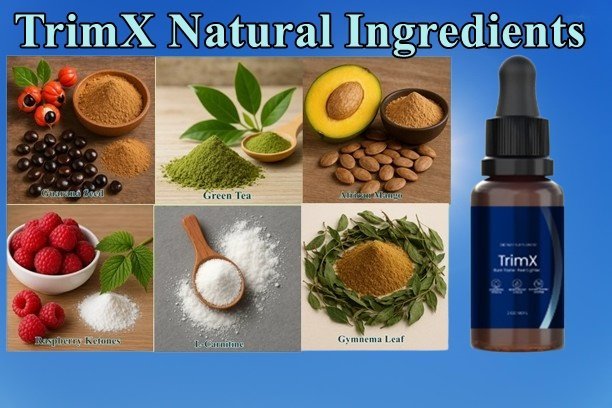 Trimx ingredients